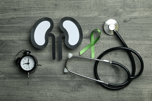 paper-kidneys-alarm-stethoscope-and-green-awaren-2021-08-31-23-36-42-utc
